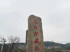 -铜川市金锁关石林