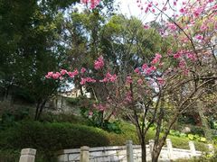 -乌山风景区