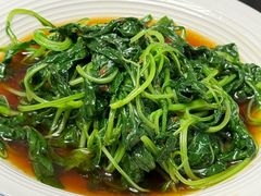 -张鸟园农家乐(张鸟园店)