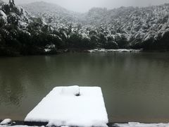 -四明山国家森林公园