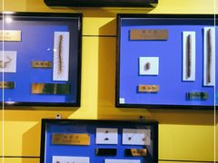 -上海昆虫博物馆