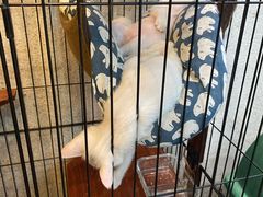 -七叔是岛民(花基新村店)