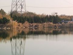 -大港湿地公园