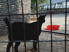 -武汉紫薇都市田园