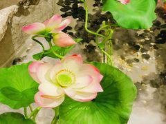 -遇见长安之高山流水(李家村万达店)