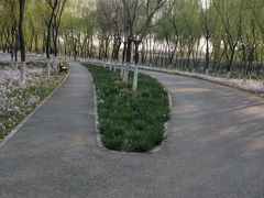 -东郊湿地公园