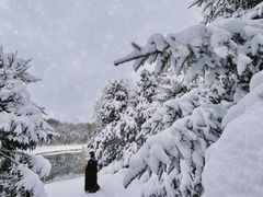 -长白岛森林公园