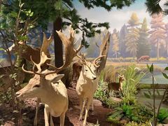 -陕西自然博物馆