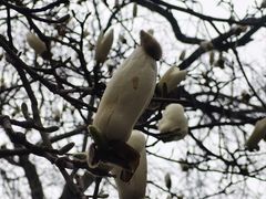 -菖蒲河公园