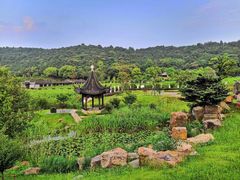 -龙寺生态园