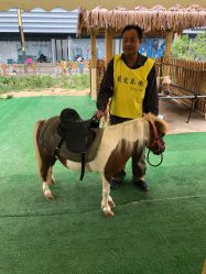 -萌宠亲子动物乐园(槐房万达店)