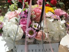 -卓花境Flowerwonderland花店