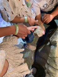 -酷嗒动物文化乐园(cutezoo西溪乐天城店)