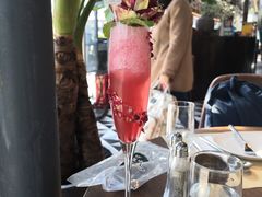 -Magnet磁食(同德店)
