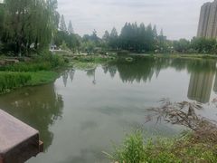 -宁波儿童公园(鄞州区)