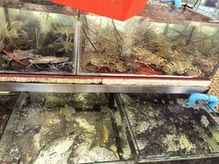 -拉威海鲜市场