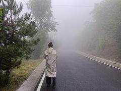 -妙峰山风景名胜区