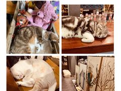 -咖法森林·咖啡  酒吧(天河店)