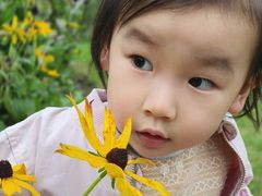 -昆山城市生态森林公园