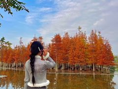 -白鹭湾湿地公园