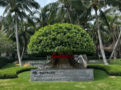 -海南清水湾莱佛士酒店