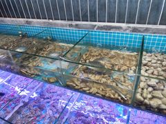 -海韵之星邮轮水会(明发商业广场店)