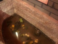 -大味生态火锅(蓝谷地店)