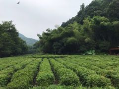 -杭州西湖风景名胜区-三生石