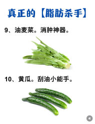 -Fundi张玉珊修身堂·indiba·BTL科技瘦身