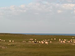 -青海湖国家重点风景名胜区