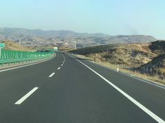 -乌兰布统景区-白桦林