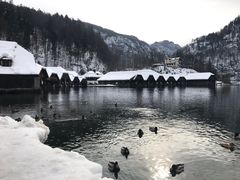 -柯尼希湖