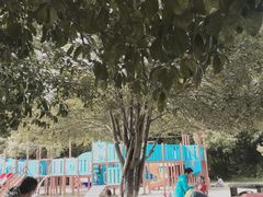 -白马涧龙池景区