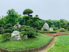 -上海鲜花港