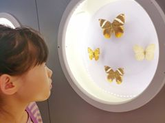 -下渚湖国家湿地公园科普馆