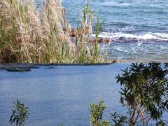 -碧桂园十里银滩