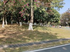 -松山湖南湖湾露营营地