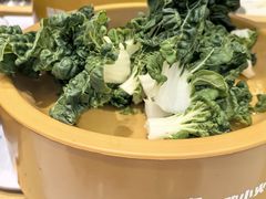 -龍歌自助小火锅(崂山丽达店)