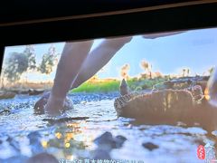 -大桶大足浴(上丰店)