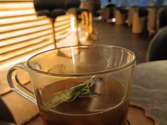 -Hi City·城市之巅