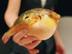 -永安鱼庄·镇江菜(东吴路店)