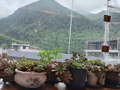 -四姑娘山阿巴郎·藏式花园餐厅