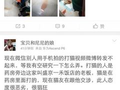 盛京一禾-盛京一禾