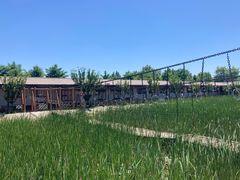 -河北村民俗体验园
