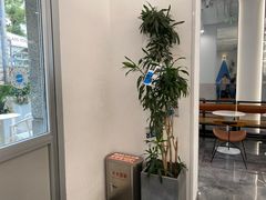 -Blueglass酸奶(上生新所店)