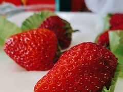 -果叔鲜果(花楼街店)