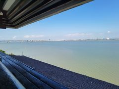-大湾区中央湿地公园