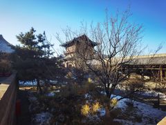 -善化寺