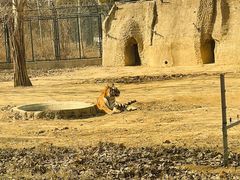 -秦皇岛野生动物园