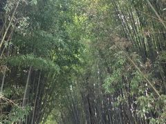 -贵州云顶草原民族风情园